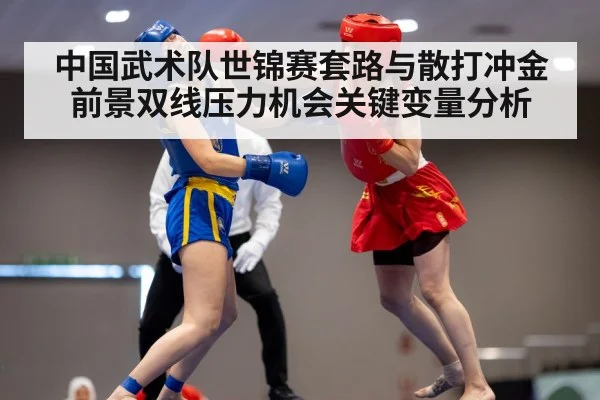 wushu martial arts competition